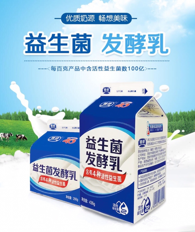 【全运会指定乳品】银桥活性益生菌酸奶整箱200g*12盒