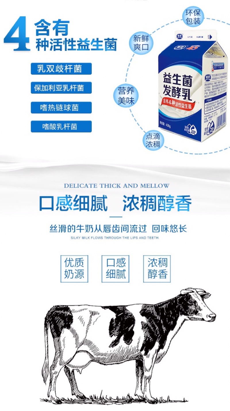 【全运会指定乳品】银桥活性益生菌酸奶整箱200g*12盒
