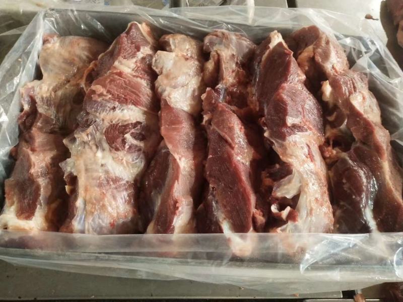 山东冻猪前脖肉，纯干货，厂家直销可视频看货欢迎咨询