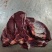 山东冻猪前脖肉，纯干货，厂家直销可视频看货欢迎咨询
