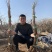 凌霄花苗爬墙喇叭花护坡固土矿山绿化长廊亭子花架可视频看货