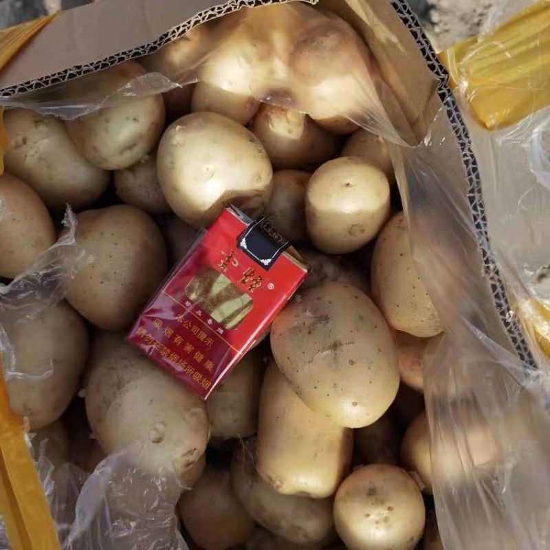 土豆，丽薯六号土豆，面光滑，肉质好，个头大
