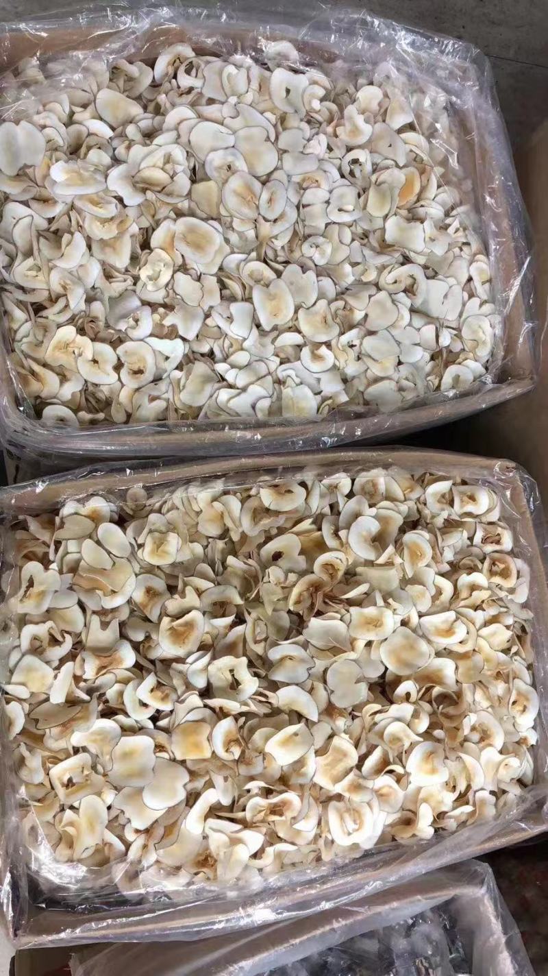 海底椰片泰国海底椰片无硫煲汤靓料大量现货批发