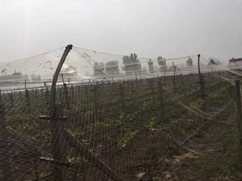 pe防草布加厚100克，加密地布4.5米宽园艺大棚