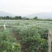 pe防草布加厚100克，加密地布4.5米宽园艺大棚