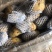 荷兰十五土豆基地批发量大质优3两以上货源充足