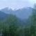 海拔3600米高山种植贝母（半野生）