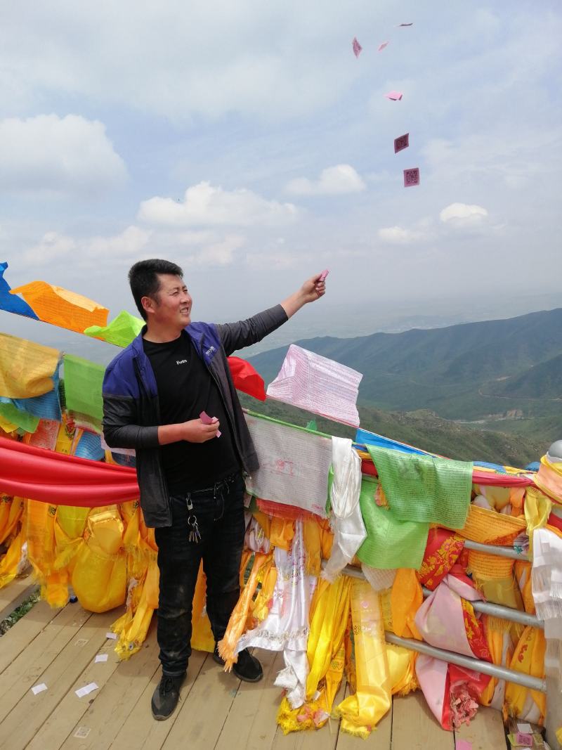 海拔3600米高山种植贝母（半野生）