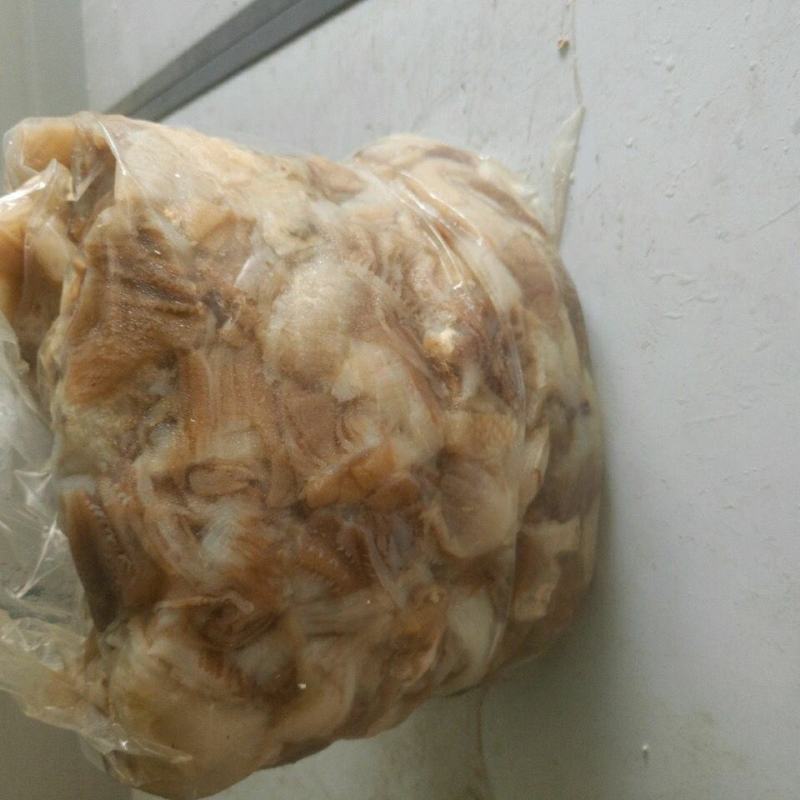 毛肚边角料5斤百叶丝渣渣毛肚头底板头新鲜牛杂水发碎千层肚