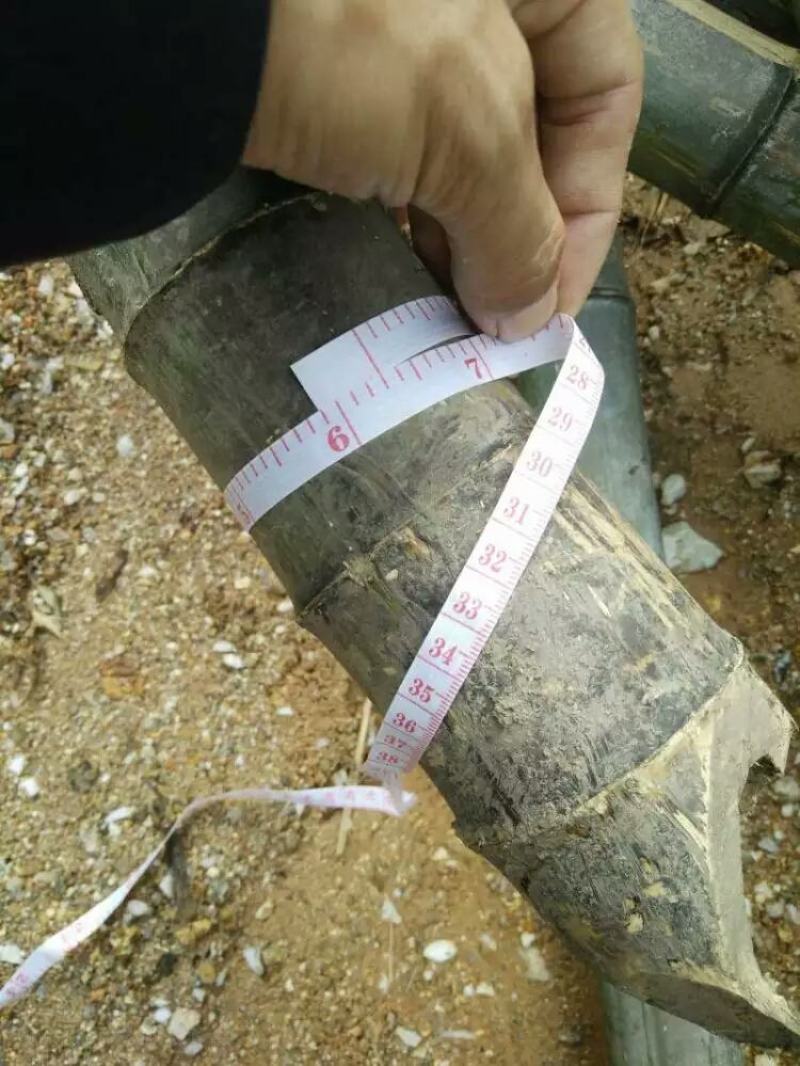 诚信经营，顾客至上，