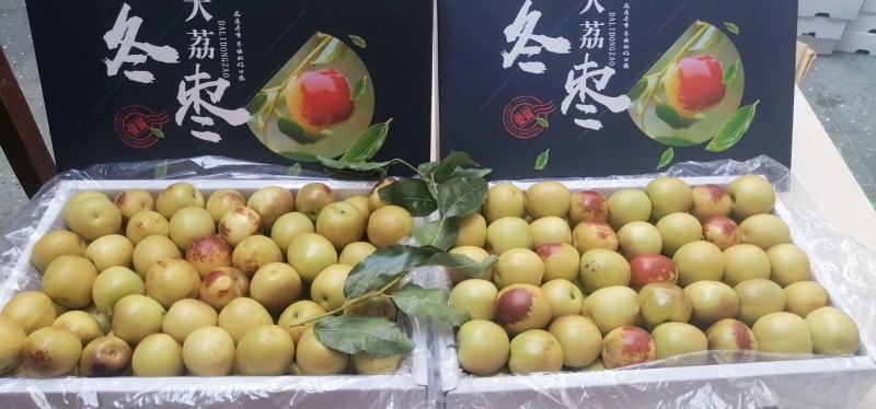 陕西省大荔县温室大棚，钢架棉被大棚，冷棚冬枣