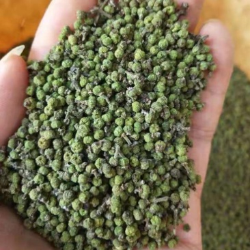 正宗江西中花吴茱萸