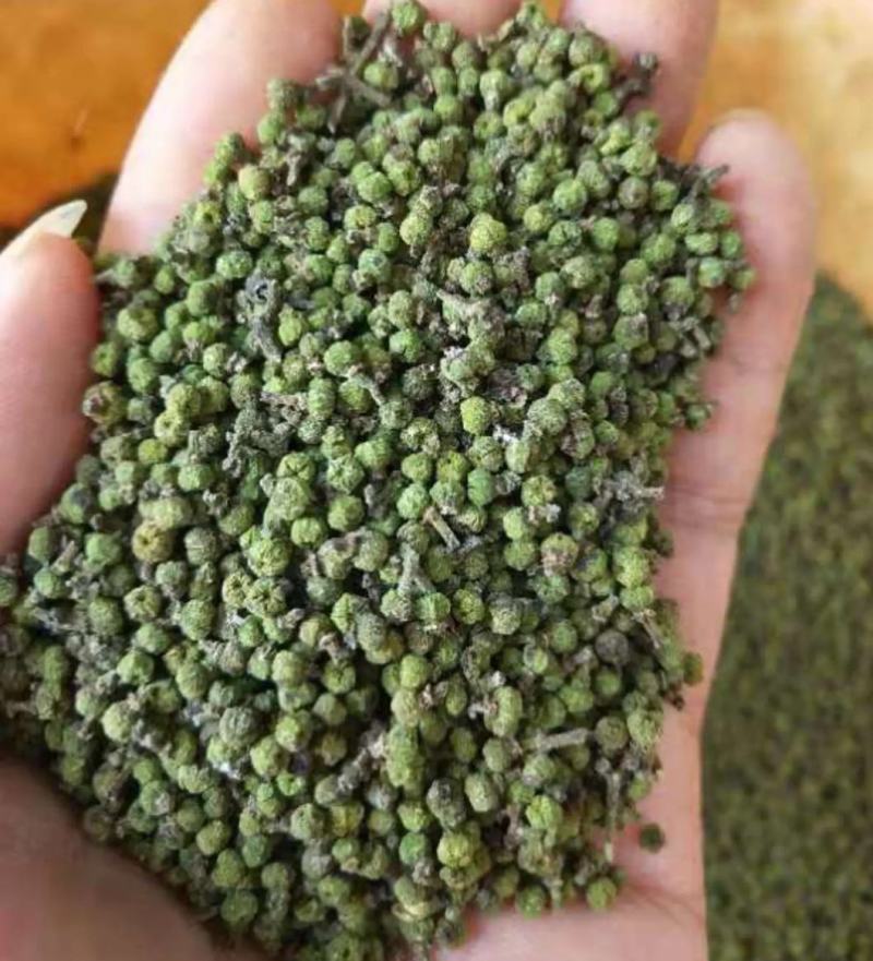 正宗江西中花吴茱萸