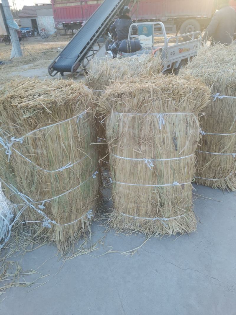 草帘，大棚保温草帘，地面防滑防寒混泥土专用稻草，
