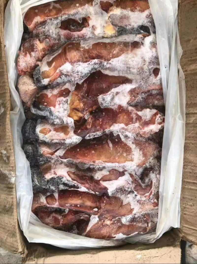 新鲜驴鞭马鞭持续有货检疫安全生鞭熟鞭干鞭冻鞭