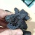 熟地黄熟地黄片河南货无硫熟地片货好无硫