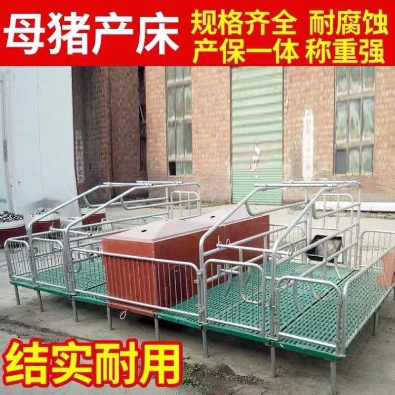 老母猪产床双体保育两用定位限位栏猪用漏粪板养殖设备