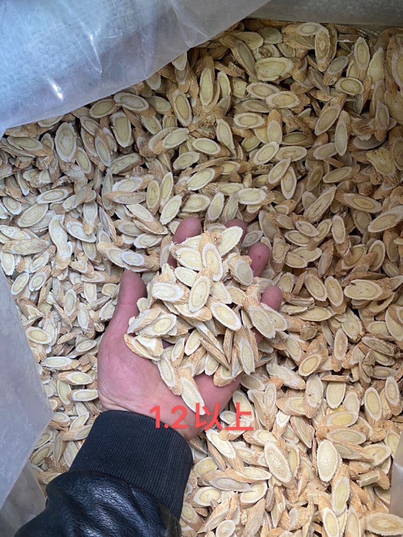 甘肃道地正宗北芪黄芪指甲片***无硫泡水大货批发