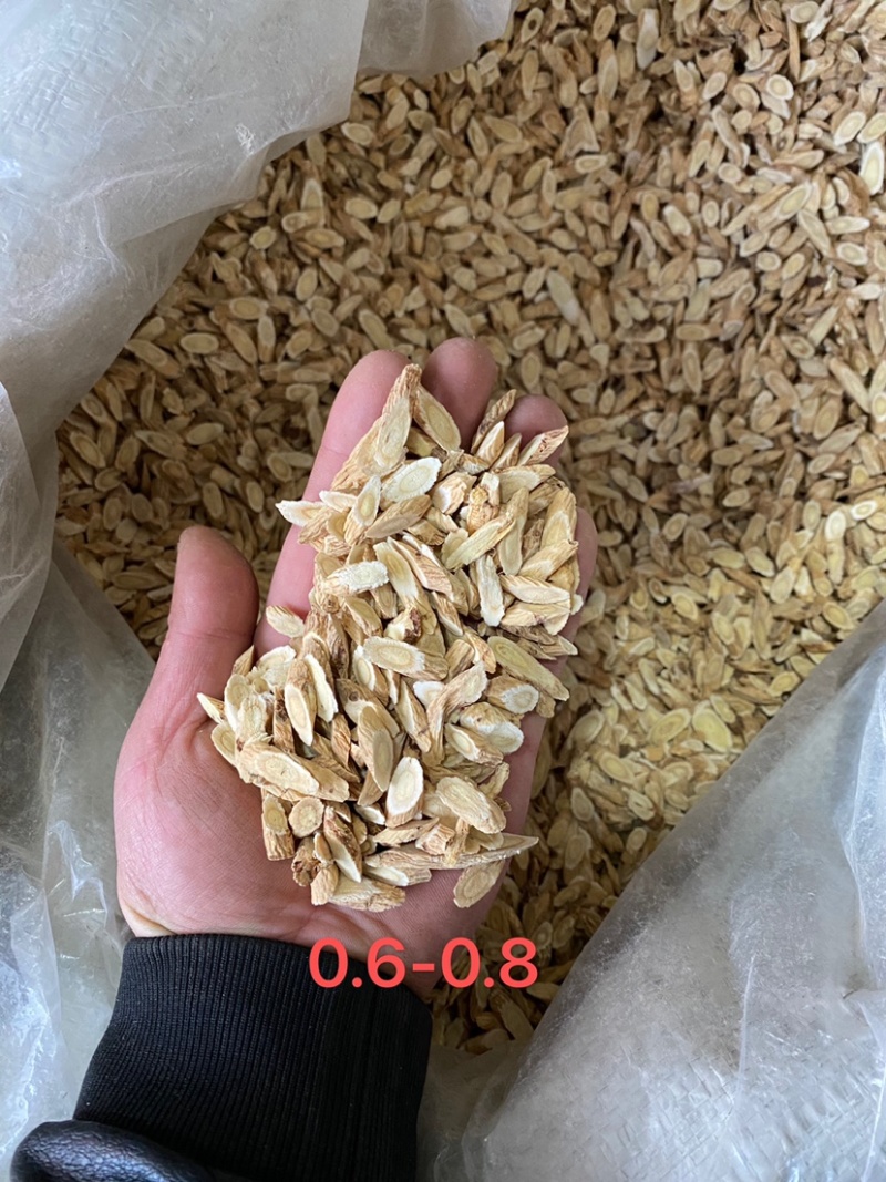 甘肃道地正宗北芪黄芪指甲片***无硫泡水大货批发