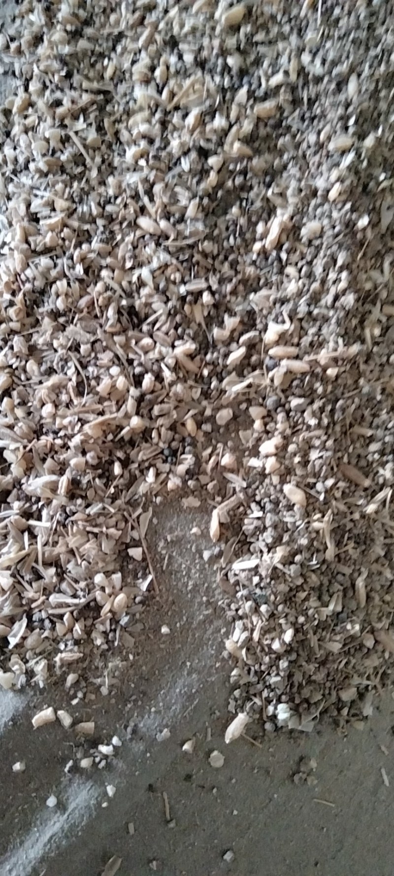 碎小麦过风净粮货不多