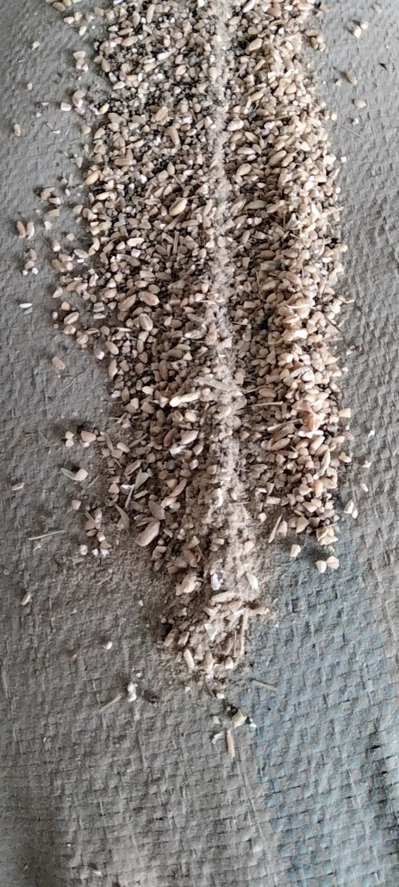 碎小麦过风净粮货不多
