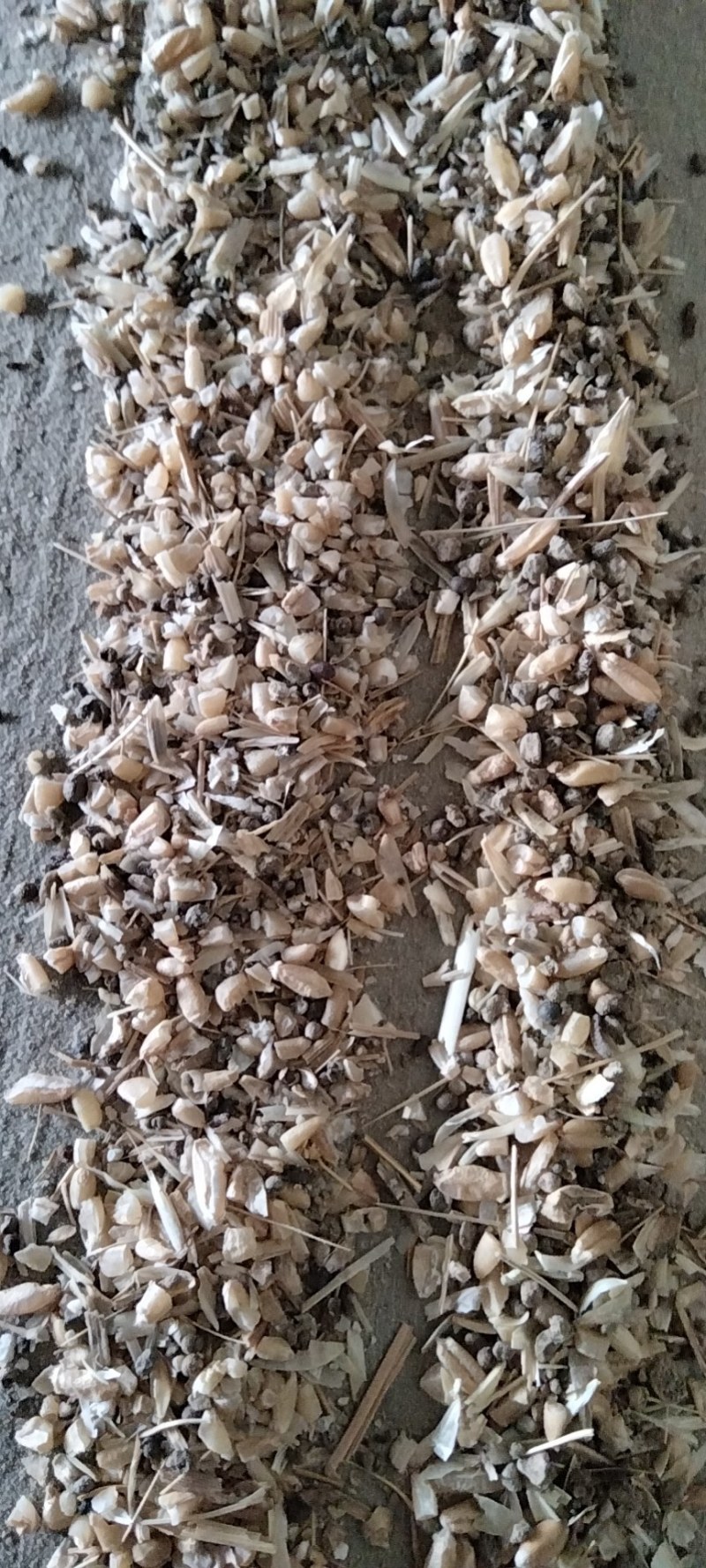碎小麦过风净粮货不多
