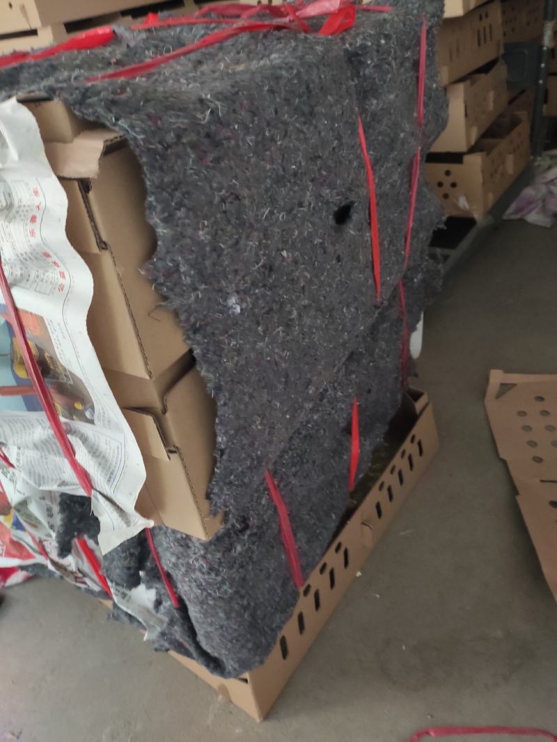 大种麻鸡苗新北麻母长速快出栏早麻六，麻七母苗公苗质量正宗
