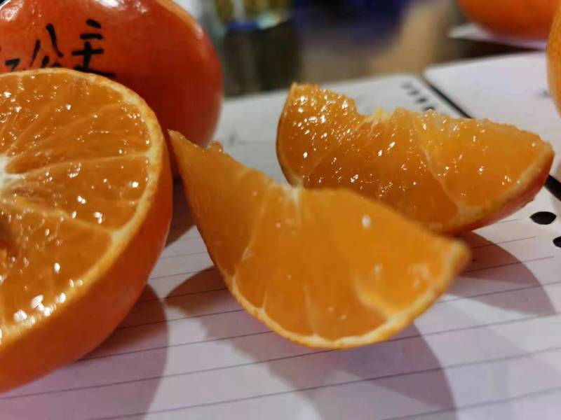 爱媛48号红公主枝条