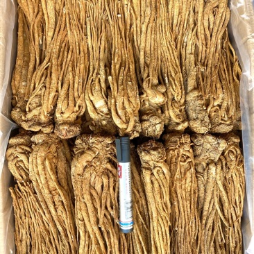 精品黄货当归个，商用个标归，水洗干货十支归五支归。