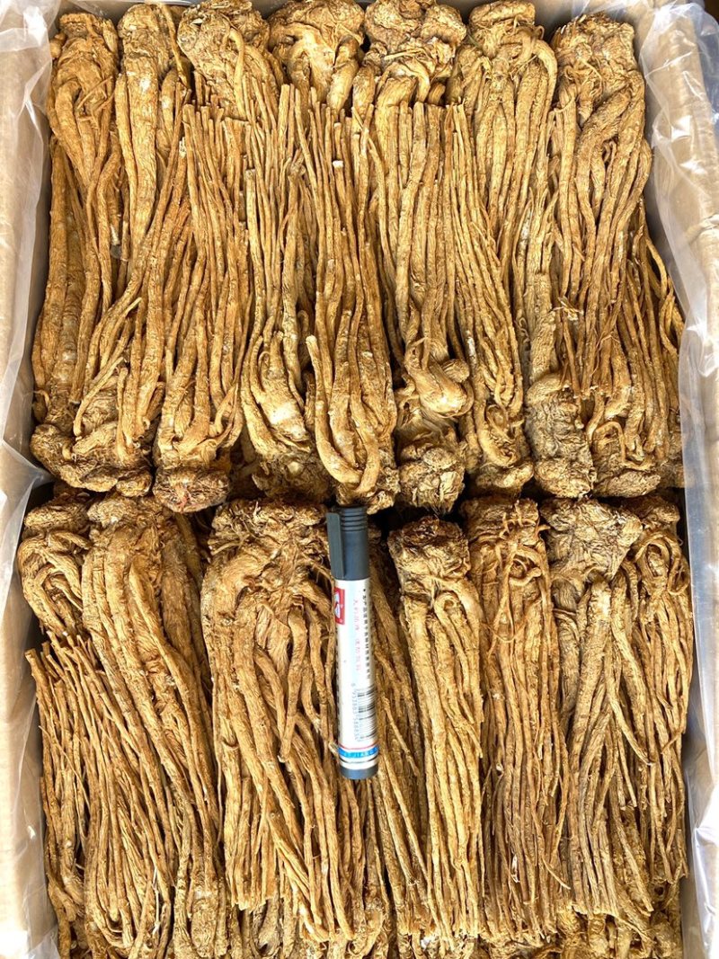 精品黄货当归个，商用个标归，水洗干货十支归五支归。
