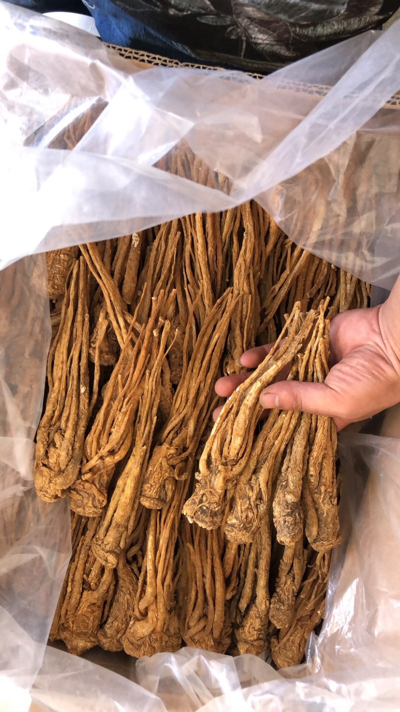 精品黄货当归个，商用个标归，水洗干货十支归五支归。
