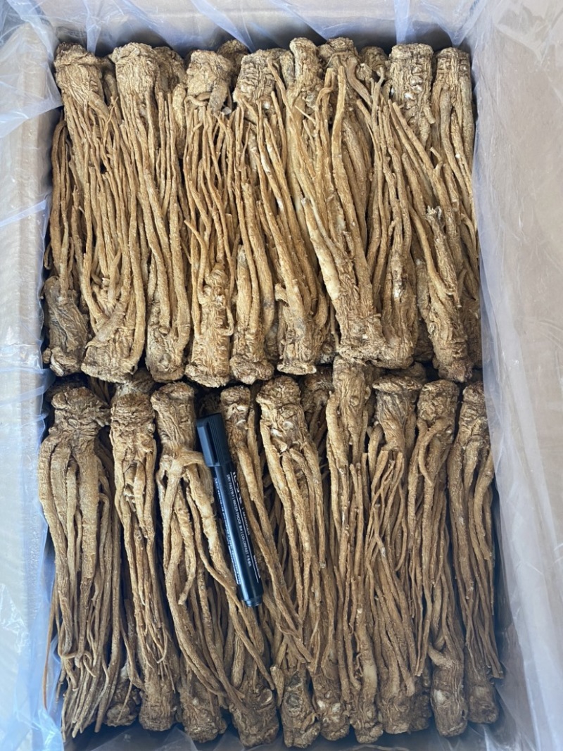 精品黄货当归个，商用个标归，水洗干货十支归五支归。