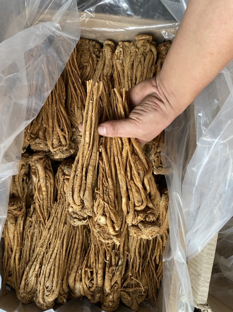 精品黄货当归个，商用个标归，水洗干货十支归五支归。