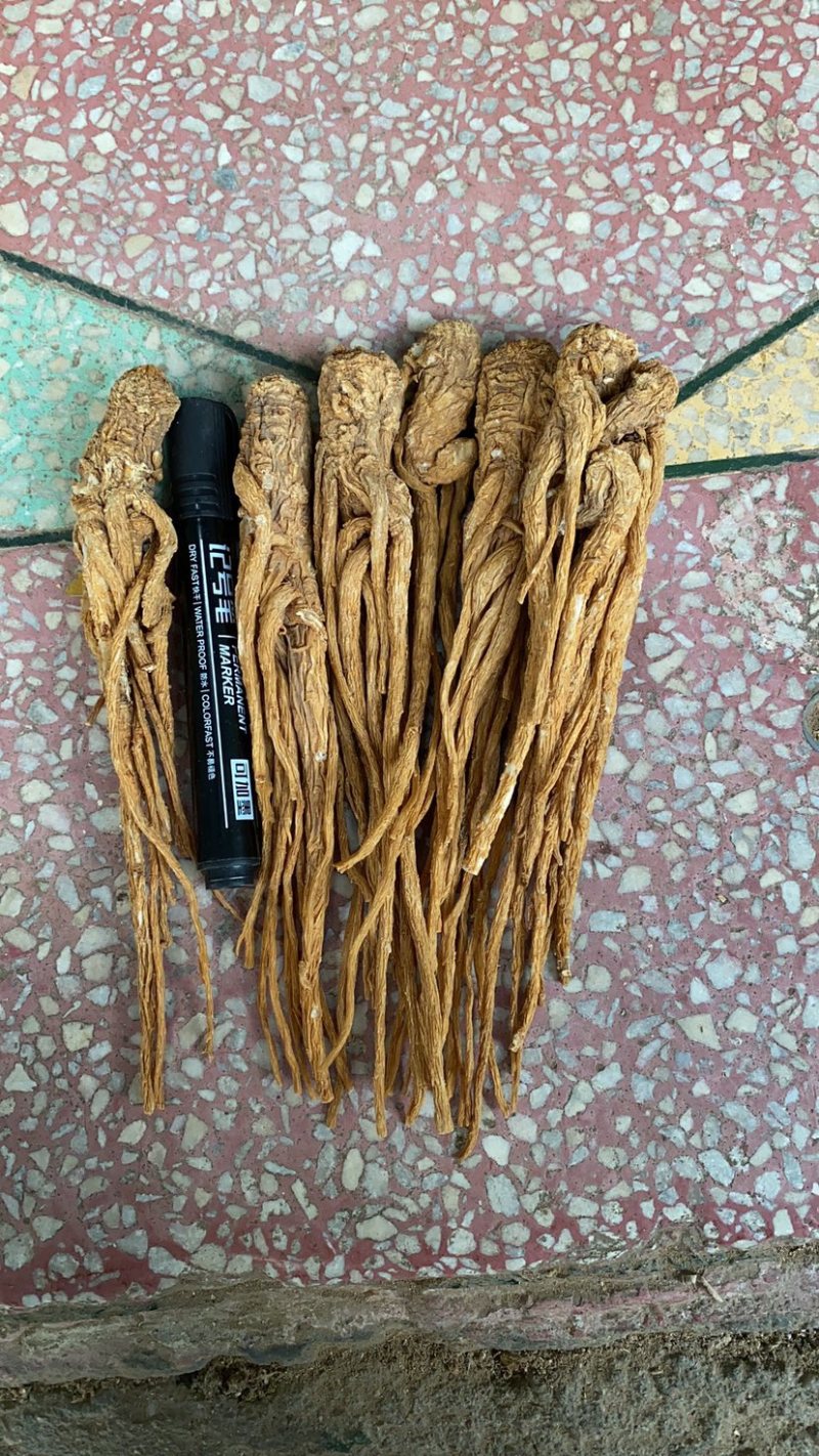 精品黄货当归个，商用个标归，水洗干货十支归五支归。