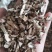 石菖蒲安徽大别山正品非水菖蒲含量够一公斤起发货