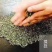 苏州碧螺春2021新茶特级浓香型明前春茶高等级散装茶