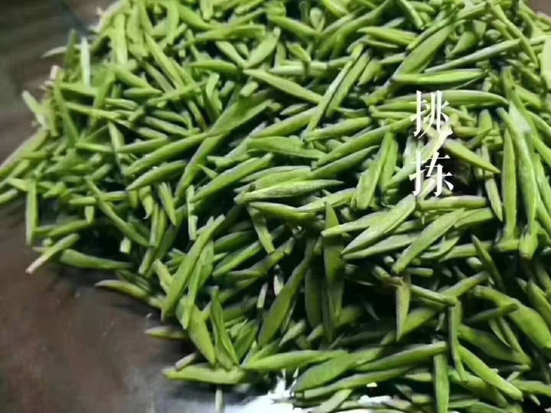 苏州碧螺春2021新茶特级浓香型明前春茶高等级散装茶