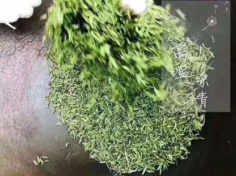 苏州碧螺春2021新茶特级浓香型明前春茶高等级散装茶