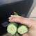 密刺黄瓜交易中心绿瓤绿肉带花带刺商超电商市场直发