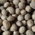 肉豆蔻新货无虫蛀关书药业