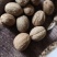 肉豆蔻新货无虫蛀关书药业