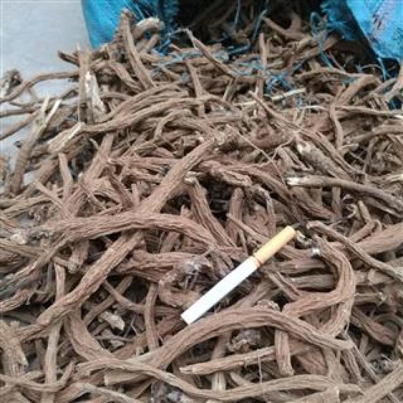家种续断。中药材。统货，