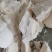 饴糖药用无硫麦芽糖批发零售冷背品种