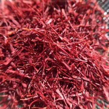 藏红花特级西藏正宗伊朗西红花泡水喝臧红花茶