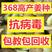 【河北-368高产王姜种】抗病毒/教种植/易管理亩产万斤