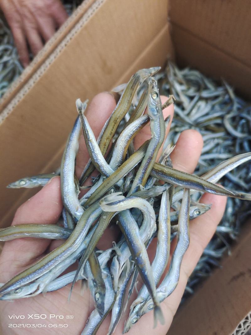面鱼，银针鱼自带油性即食跑江湖畅销货不包邮