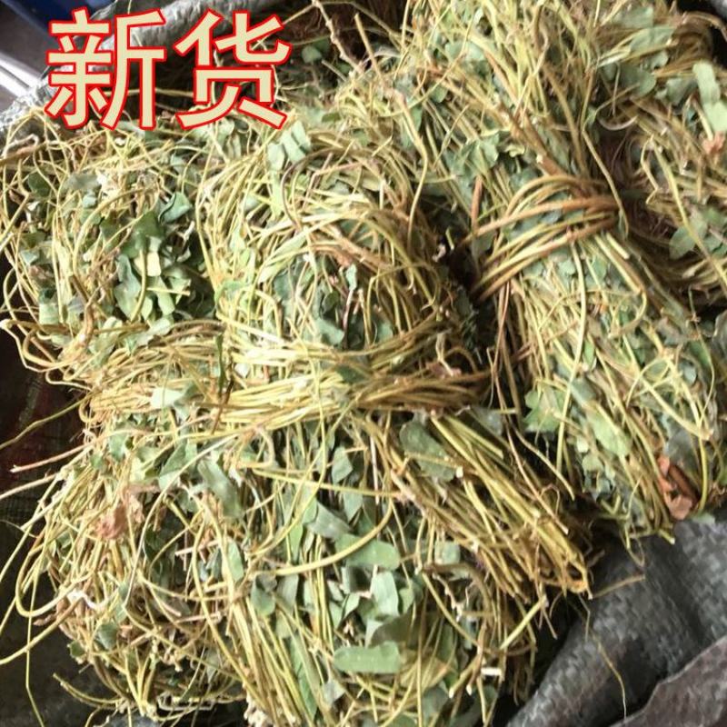 好鸡骨草广西鸡骨草有叶大黄草根煲汤料