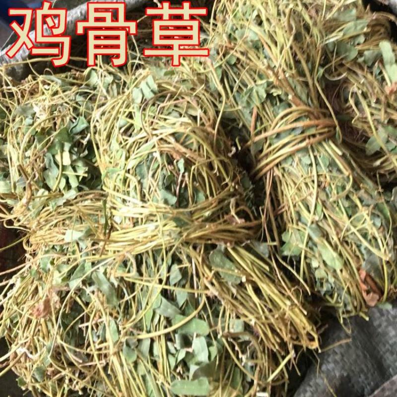 好鸡骨草广西鸡骨草有叶大黄草根煲汤料