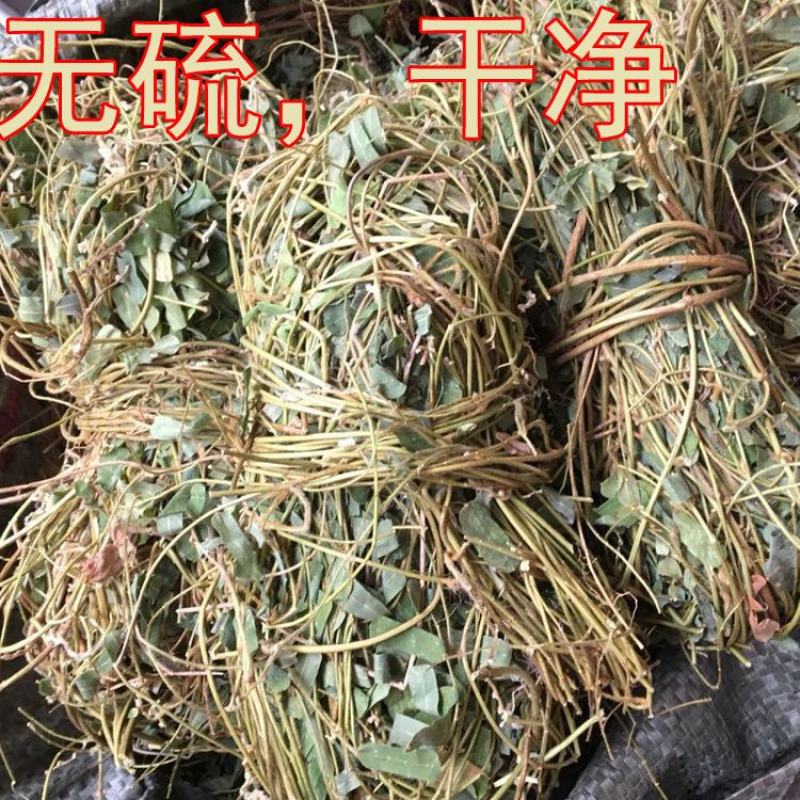 好鸡骨草广西鸡骨草有叶大黄草根煲汤料