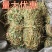 好鸡骨草广西鸡骨草有叶大黄草根煲汤料